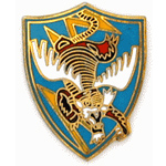  23rd Flying Tiger Mil Hat Pin