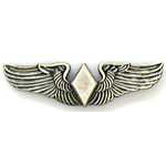 WASP wings Mil Hat Pin WASP wings Mil Hat Pin