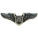 Early Pilot's Wings Mil Hat Pin Early Pilot's Wings Mil Hat Pin