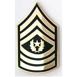  Army Command Sergeant Major E-9 Mil Hat Pin