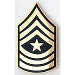  Army Command Sergeant Major E-9 Mil Hat Pin