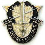  Special Forces Mil Hat Pin