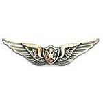  Army Crewman Wings Mil Hat Pin