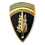  Shaef Mil Hat Pin