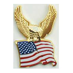  US Flag & Eagle Mil Hat Pin