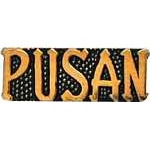  Pusan Script Mil Hat Pin