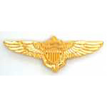  Navy Pilot Mil Hat Pin