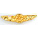  Naval Air Crew Mil Hat Pin