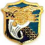  CAG Seal Team Mil Hat Pin