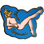  Over Exposed Air Plane Nose Art Mil Hat Pin