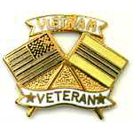  Vietnam Vet & Proud of It Mil Hat Pin