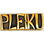  Pleiku Mil Hat Pin