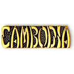  Cambodia Mil Hat Pin