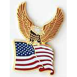  U.S.A. & Eagle Misc Hat Pin