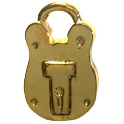 Switch Lock RR Hat Pin Switch Lock RR Hat Pin