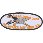 3in. RR Patch Rio Grande