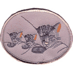 3in. RR Patch Chessie